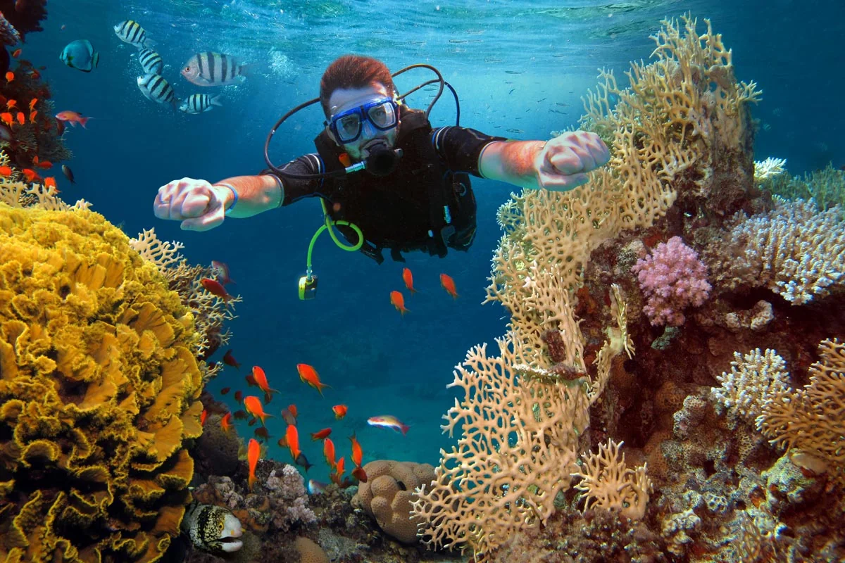 Scuba diver exploring coral reefs on a three-dive tour from Phuket