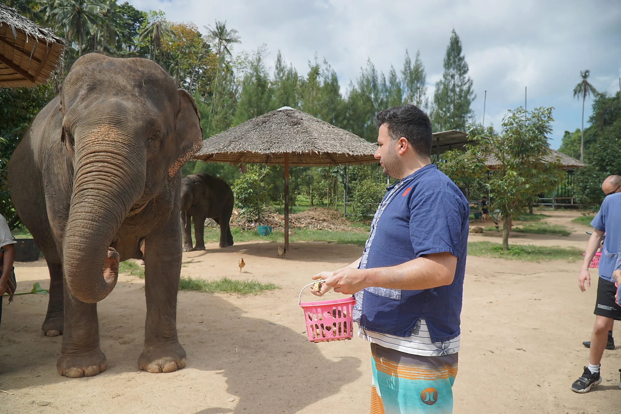 Samui Elephant Spa + Transfer  — image 8