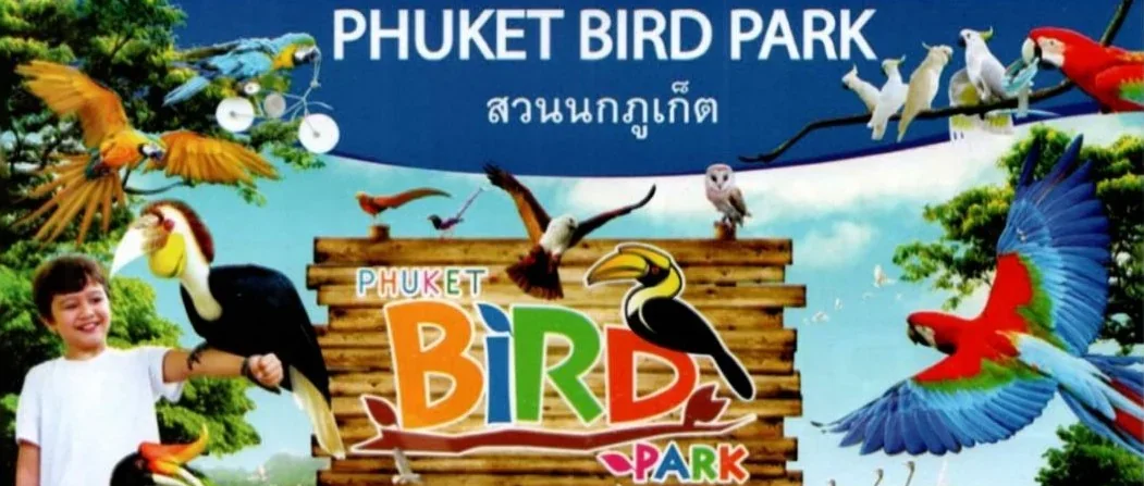 Colorful parrots perched together at Phuket Bird Park