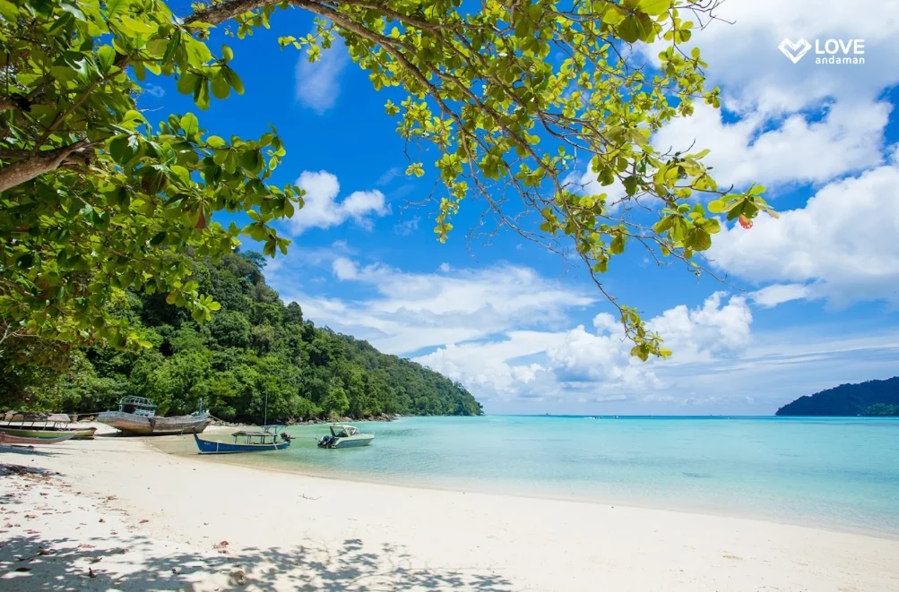 Surin Island (Speed Cantamaran) + Lunch + (National Park Fee) + SIC Transfer — image 11