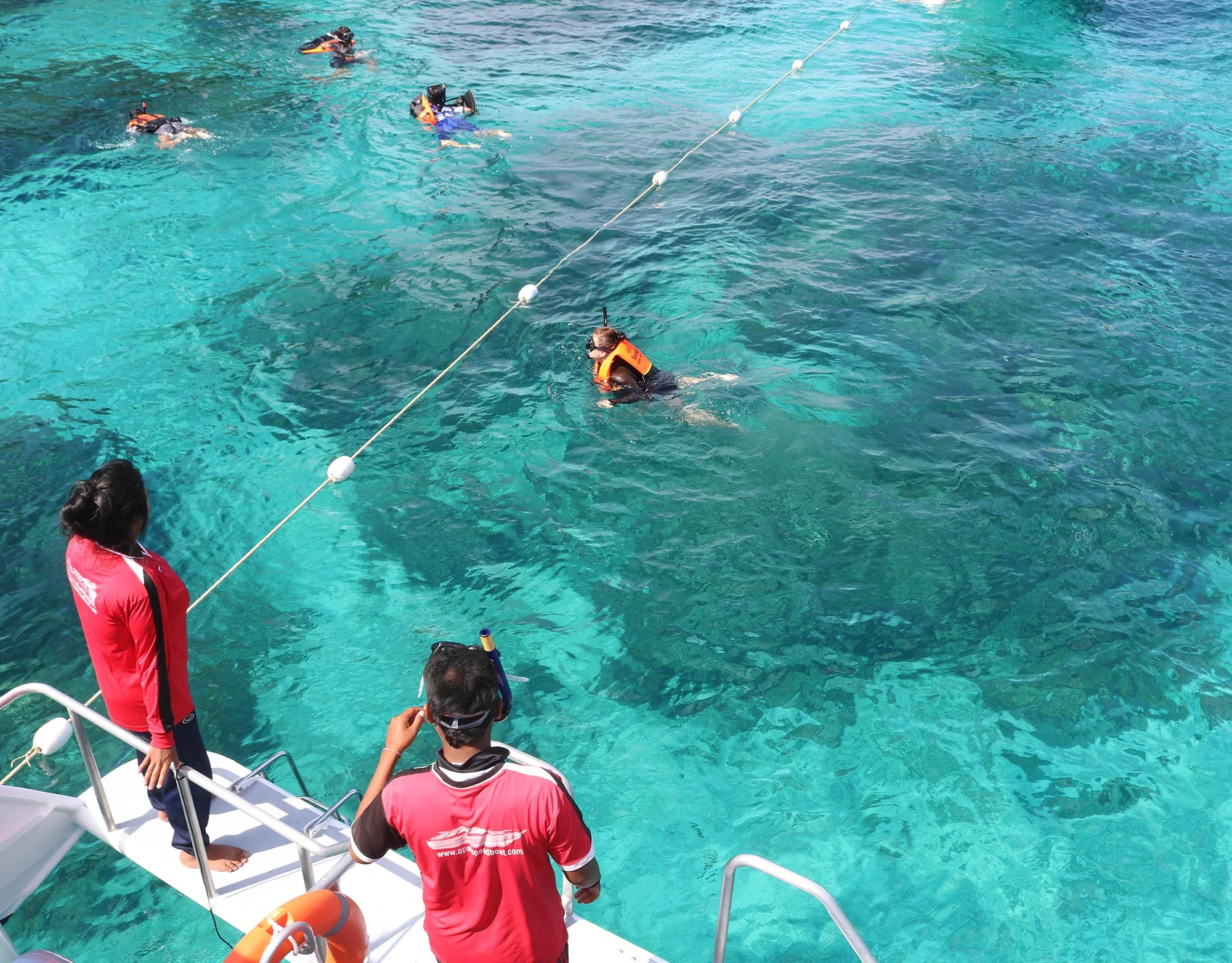 Lanta 4 Island (Depart from Lanta Island) (By Speed Boat) + Lunch + SIC Transfer - (No National Park Fee)  — image 1