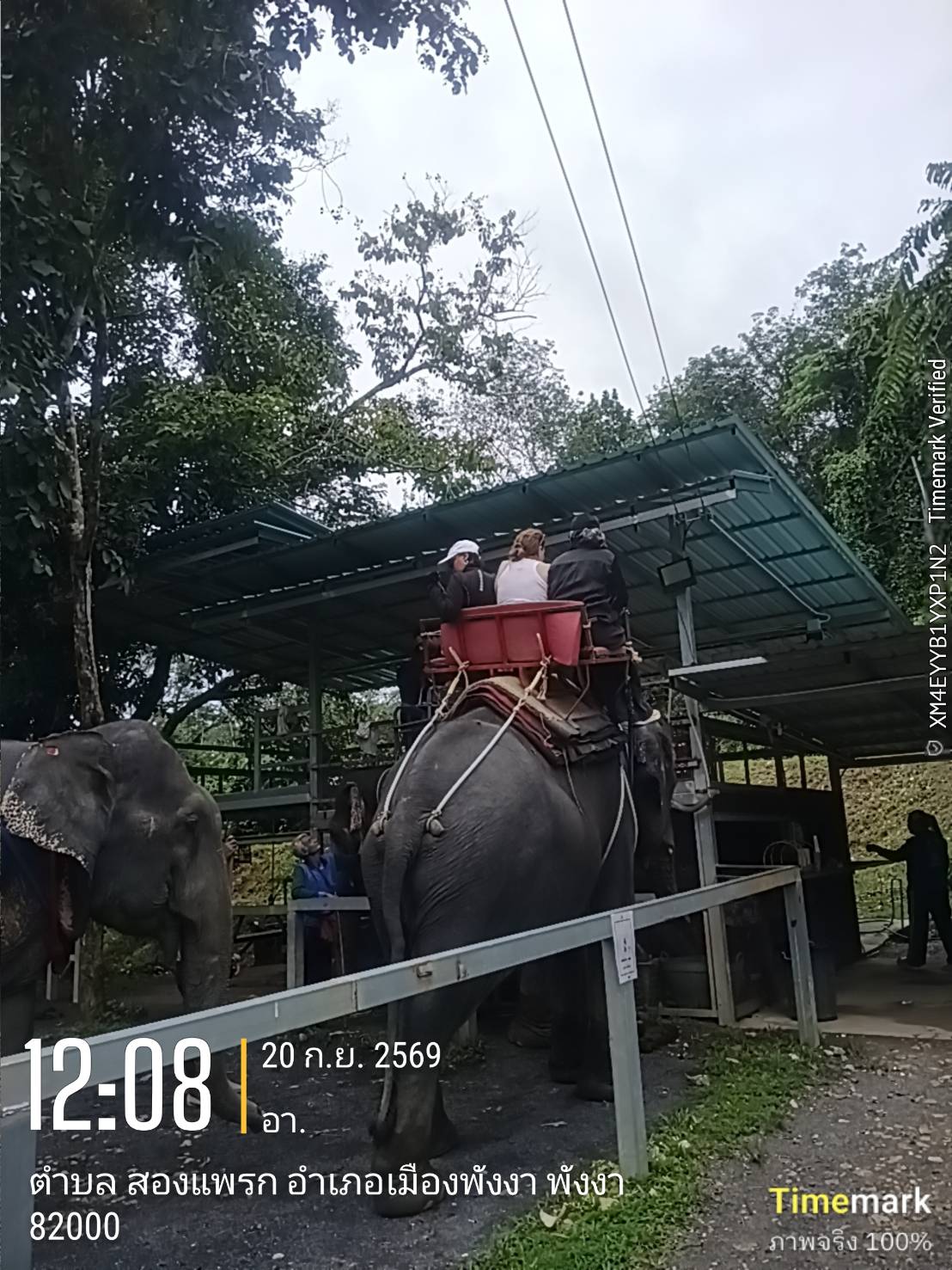 Guests seated on an elephant at a forest camp in Song Phraek, Phang Nga