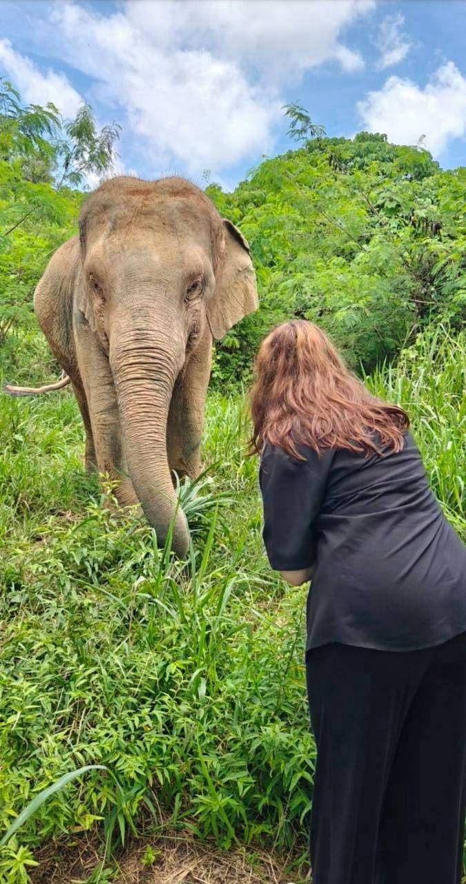 The Lake Phuket Elephant Home - FULLDAY Ethical Unforgettable Experience (Program B)  — image 10