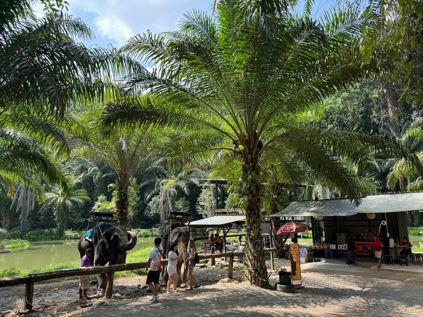 White Water Rafting 9 Km. + Elephant 30 mins. + Lunch + No Transfer — image 27