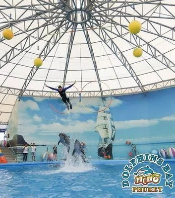 Dolphin (VVIP Seat) row A - (No transfer) — image 24