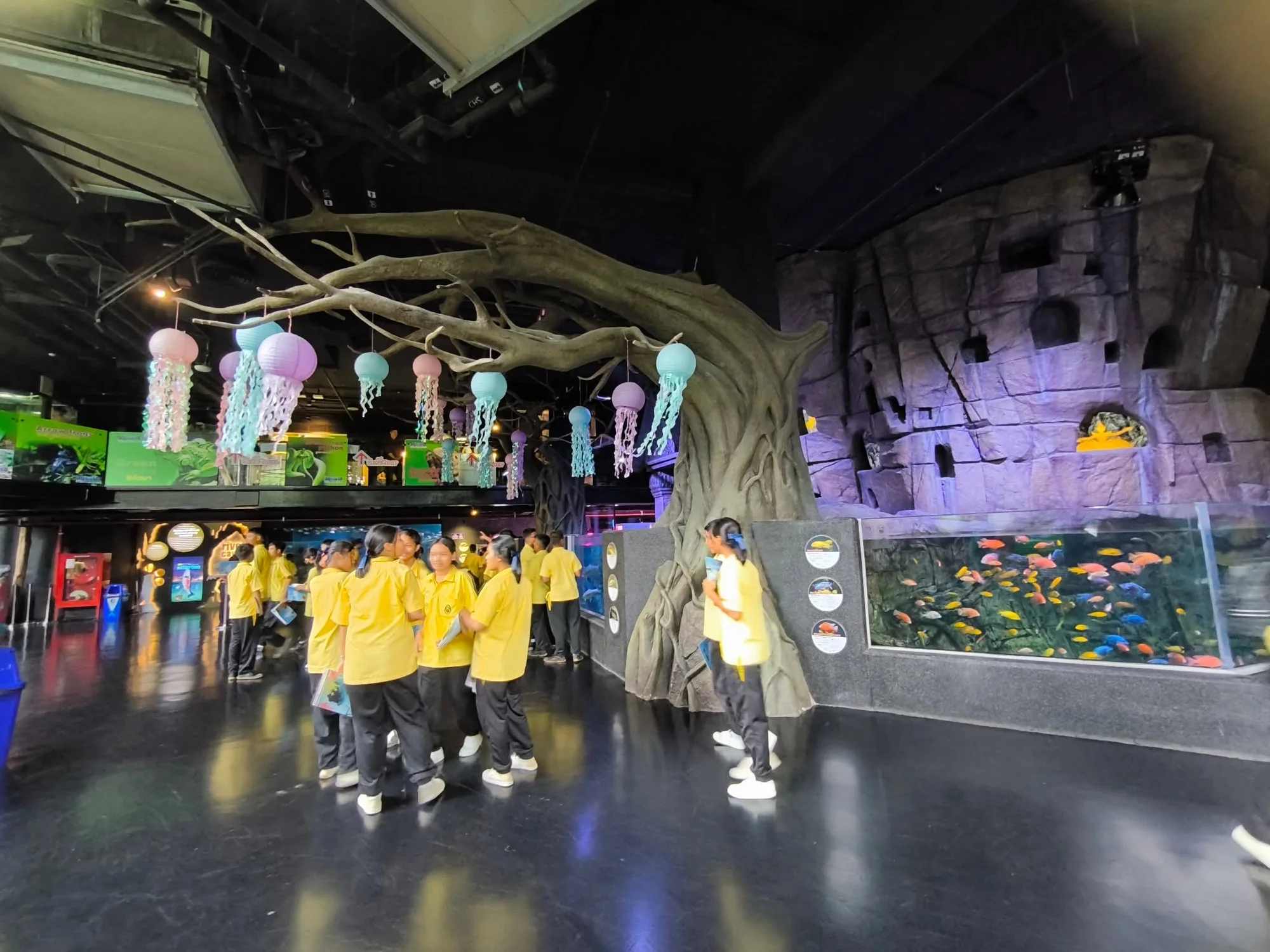 Aquaria Phuket (Underwater) + MAYA Media Art Museum Combo - (Indian Market : Nepali, Bangladeshi, Pakistani, Indian, Sri Lankan) — image 3