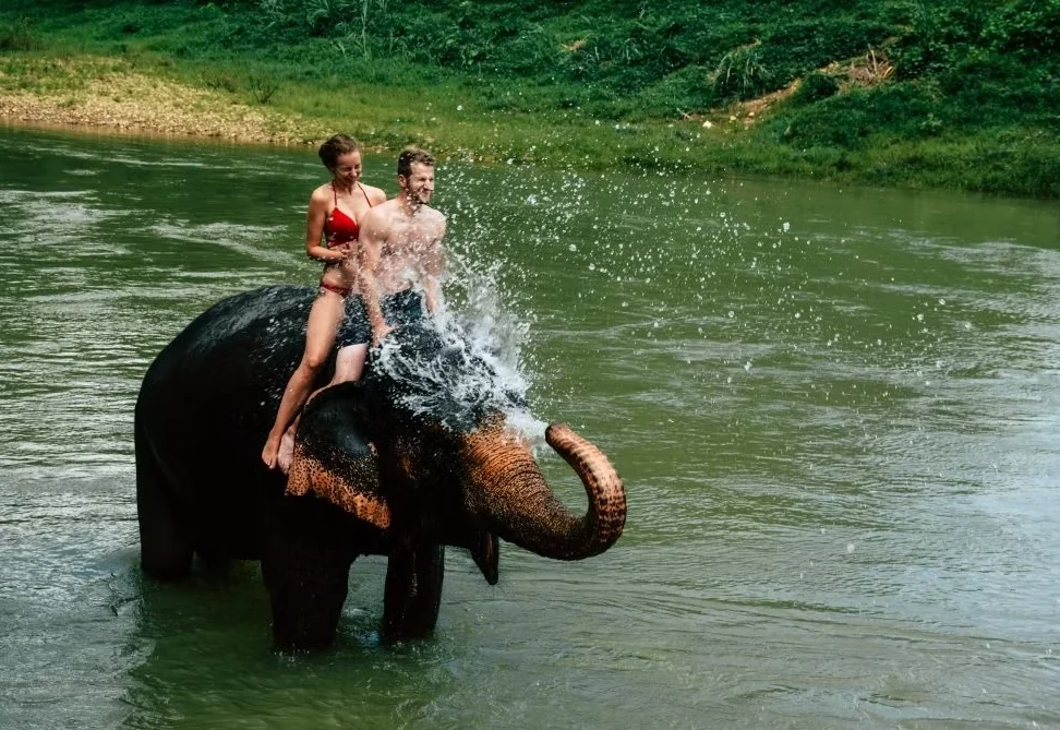 Khao Sok - 1 Day Tour - (Elephant Bathing, Canoeing) + Lunch + National Park Fee + SIC Transfer - (Pick up Phuket) — image 9