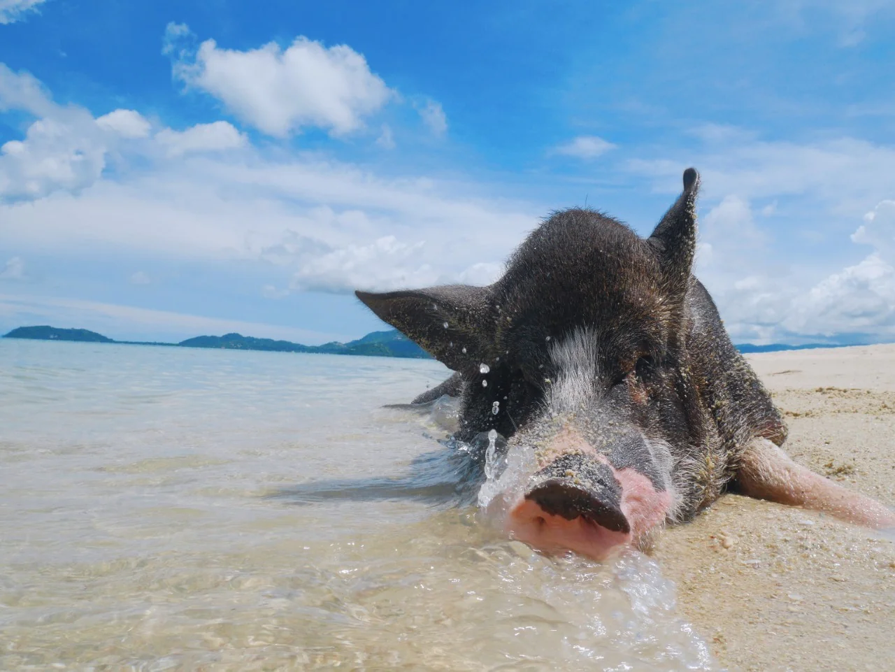 Luxury Longtail Boat (Private) - Koh Tan & Koh Mudsum  4 hours  (1-2 pax) (Exclude admission fee, Transfer) — image 9