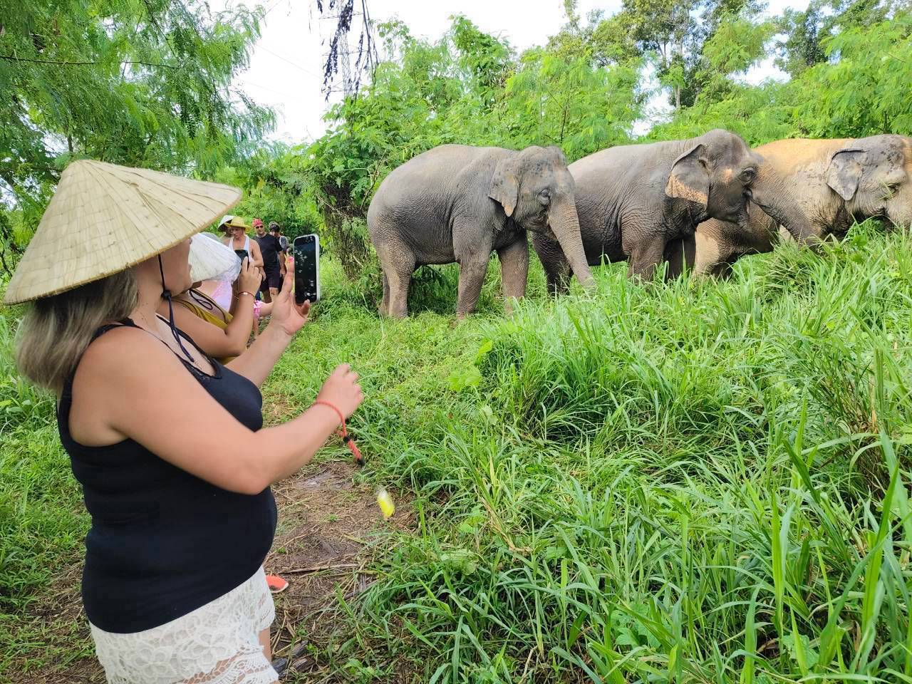 Ethical elephant encounter at The Lake Phuket Elephant Home, guests walking alongside gentle giants in lush surroundings