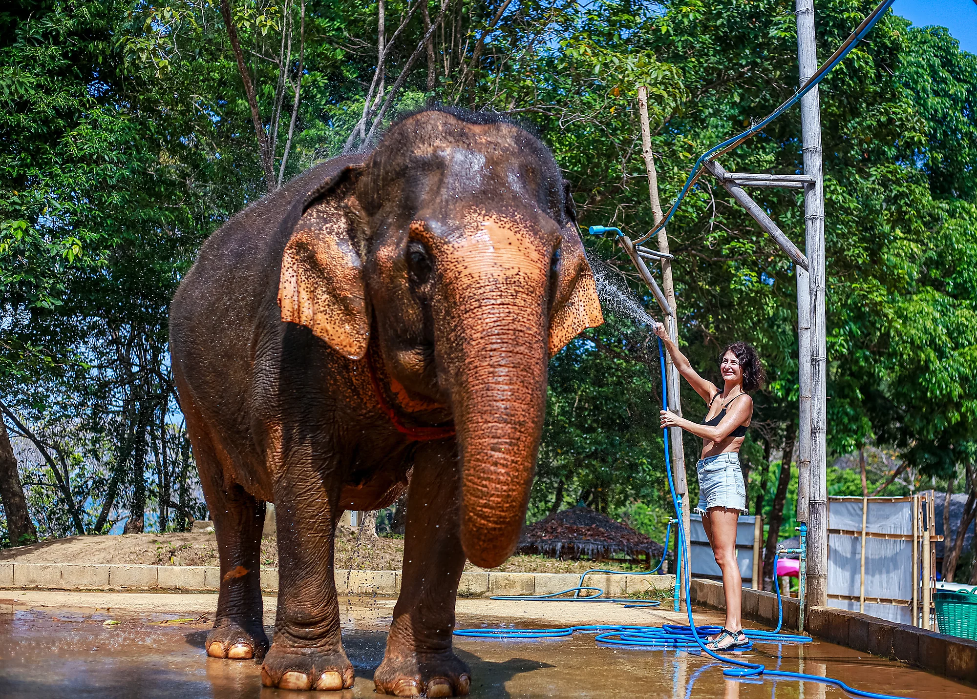 Feed & Bath at The Private Beach + SIC Transfer (2.5 - 3 hours) — image 13
