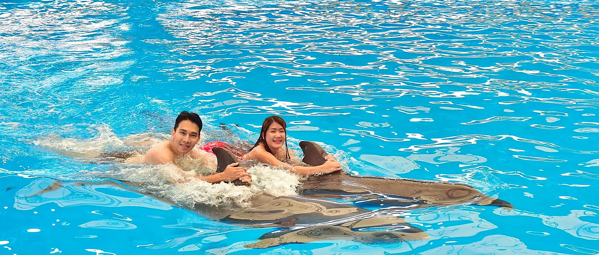 Swimmer alongside a dolphin in clear blue water during a dolphin experience tour in Phuket