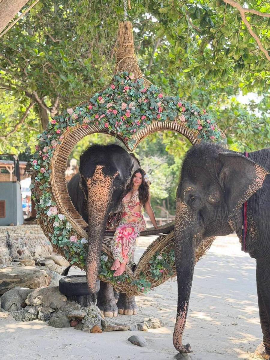 Take Photo & Ride Elephant on the Beach 15 minutes, Tri Trang + SIC Transfer (Include Entrance Fee) (Option package) — image 2