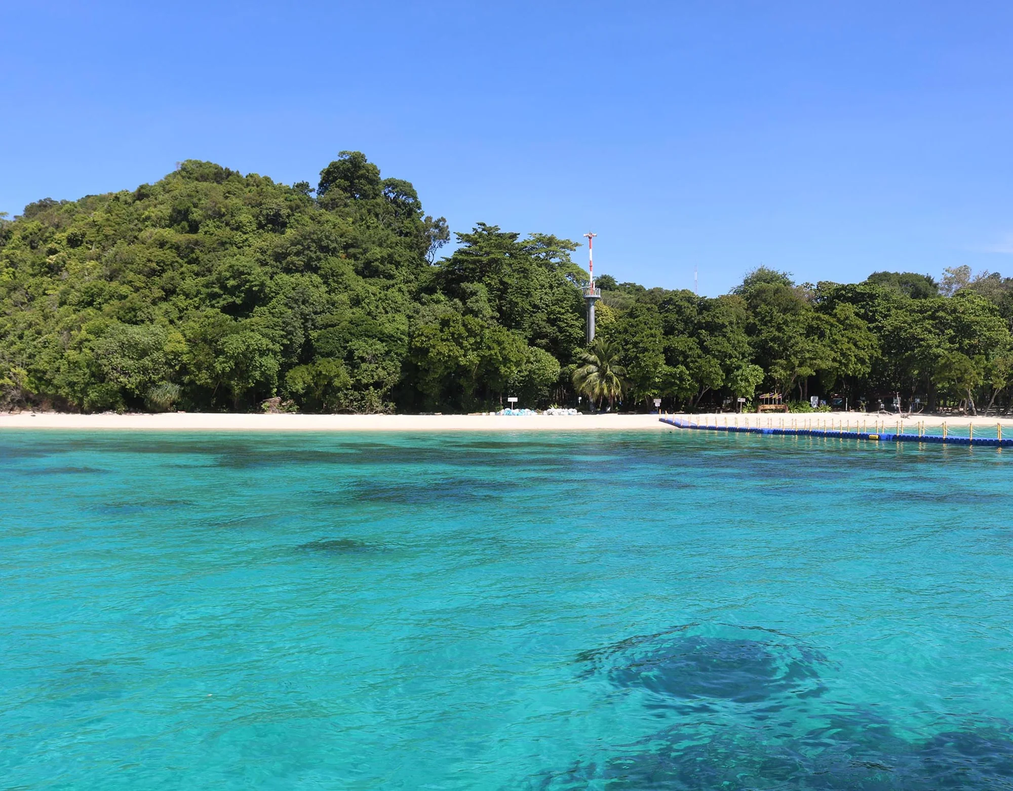 Koh Rok + Koh Ha Island  (By Speed Boat) + Lunch + SIC Transfer (Not Incl. National Park Fee) (Depart from Lanta Island) — image 1