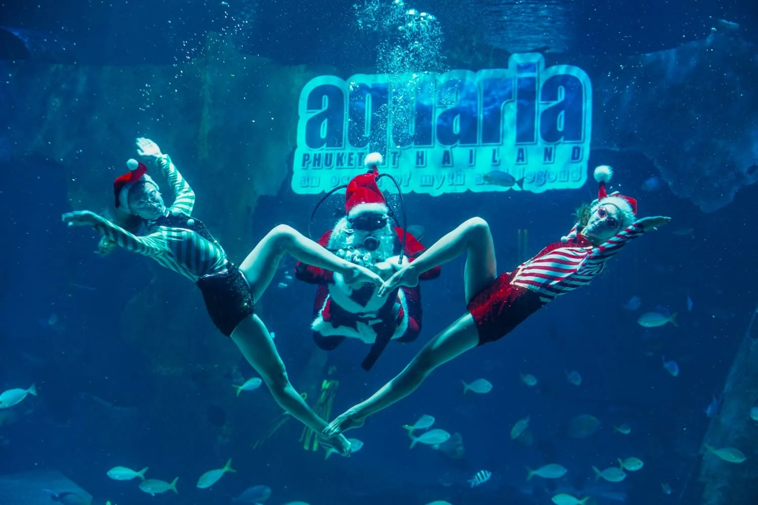 Aquaria Phuket (Underwater) - (Worldwide Market)