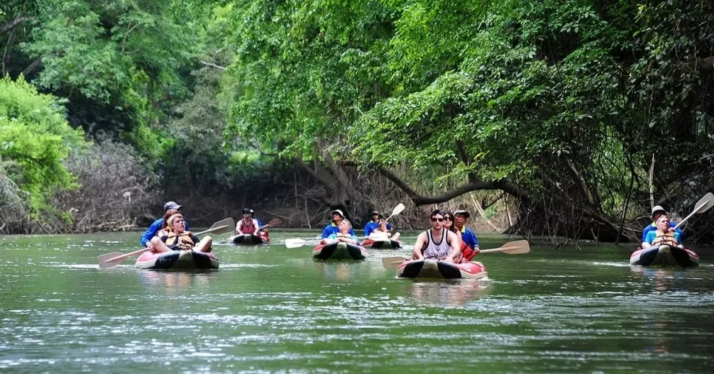 Tourists bathing elephants in a jungle river during a Khao Sok National Park day tour from Phuket