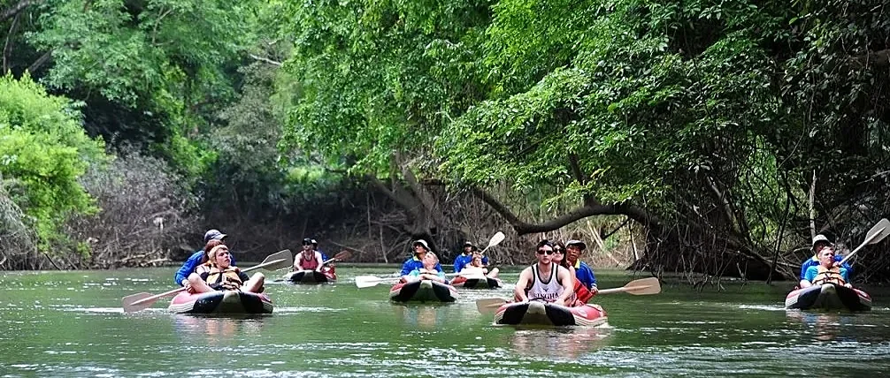Tourists bathing elephants in a jungle river during a Khao Sok National Park day tour from Phuket