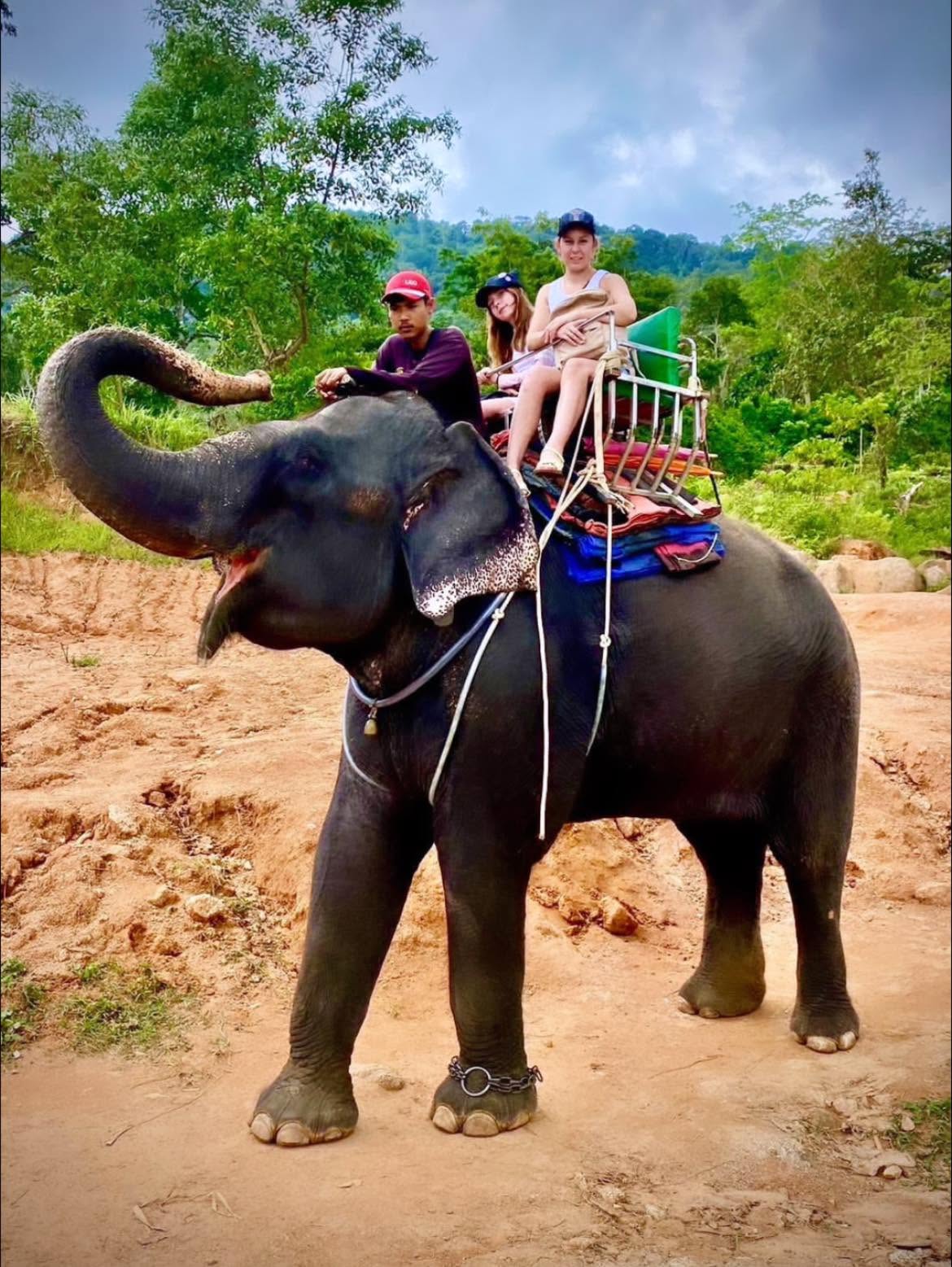Elephant Trekking 1 hour — image 5