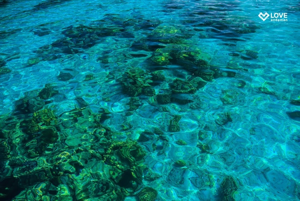 Surin Island (Speed Cantamaran) + Lunch + (National Park Fee) + SIC Transfer — image 4
