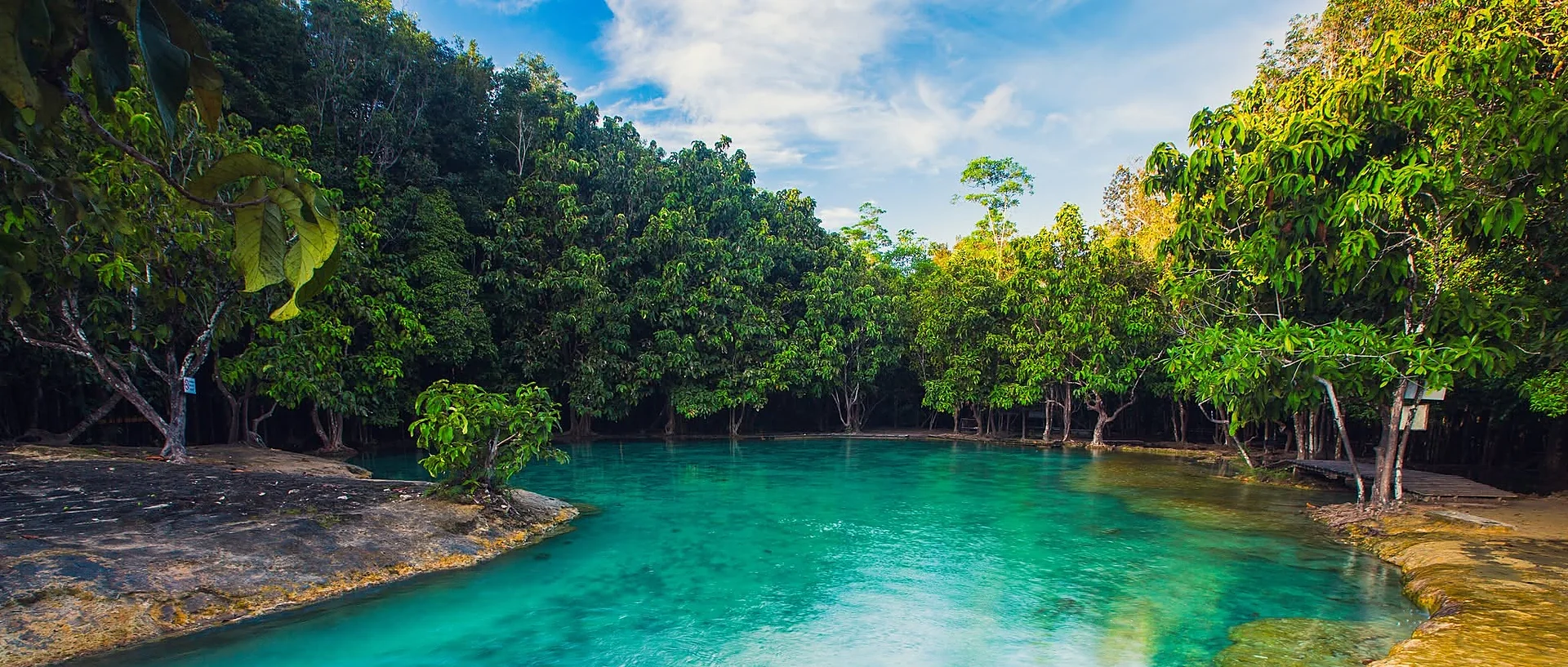 Lush jungle hot spring pool surrounded by tropical forest in Krabi, Thailand on a sunny day