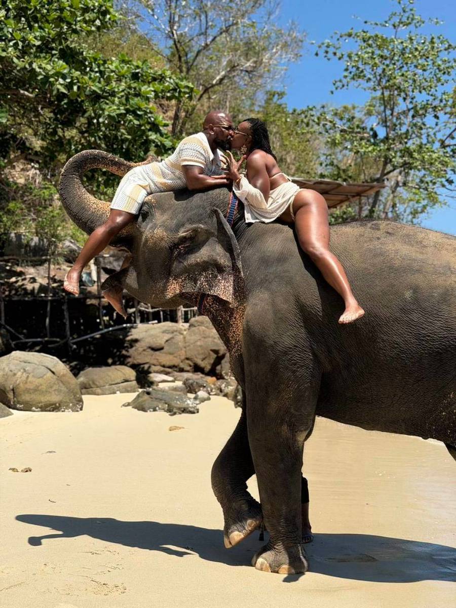 Take Photo & Ride Elephant on the Beach 15 minutes (Option package), Tri Trang + SIC Transfer (Include Entrance Fee) — image 4