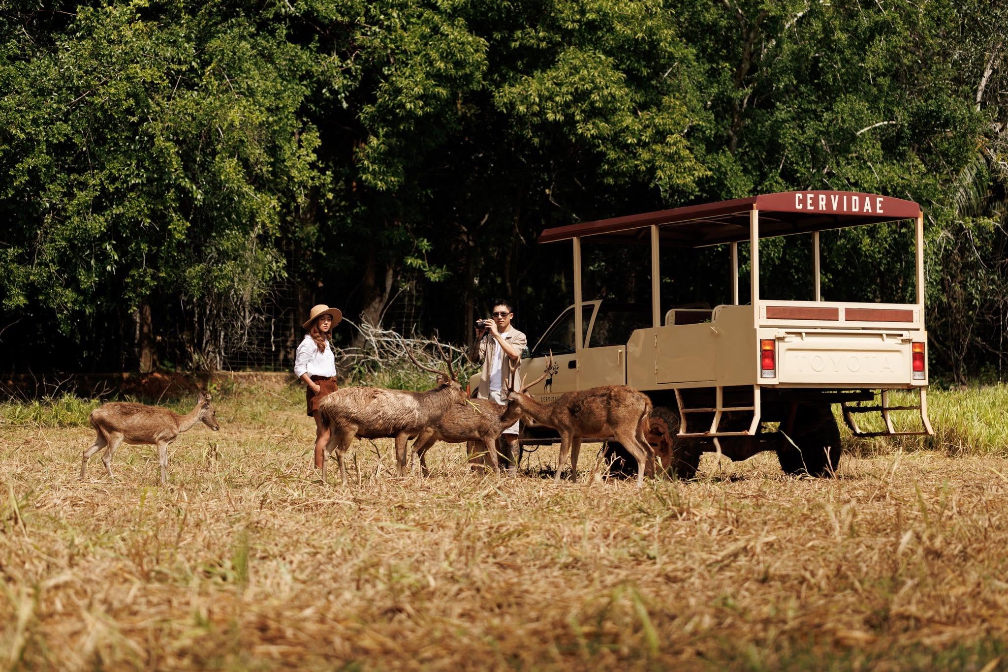 Cervidae Deer Farm (All-In Experience Farm tour + Food and Beverage) — image 7