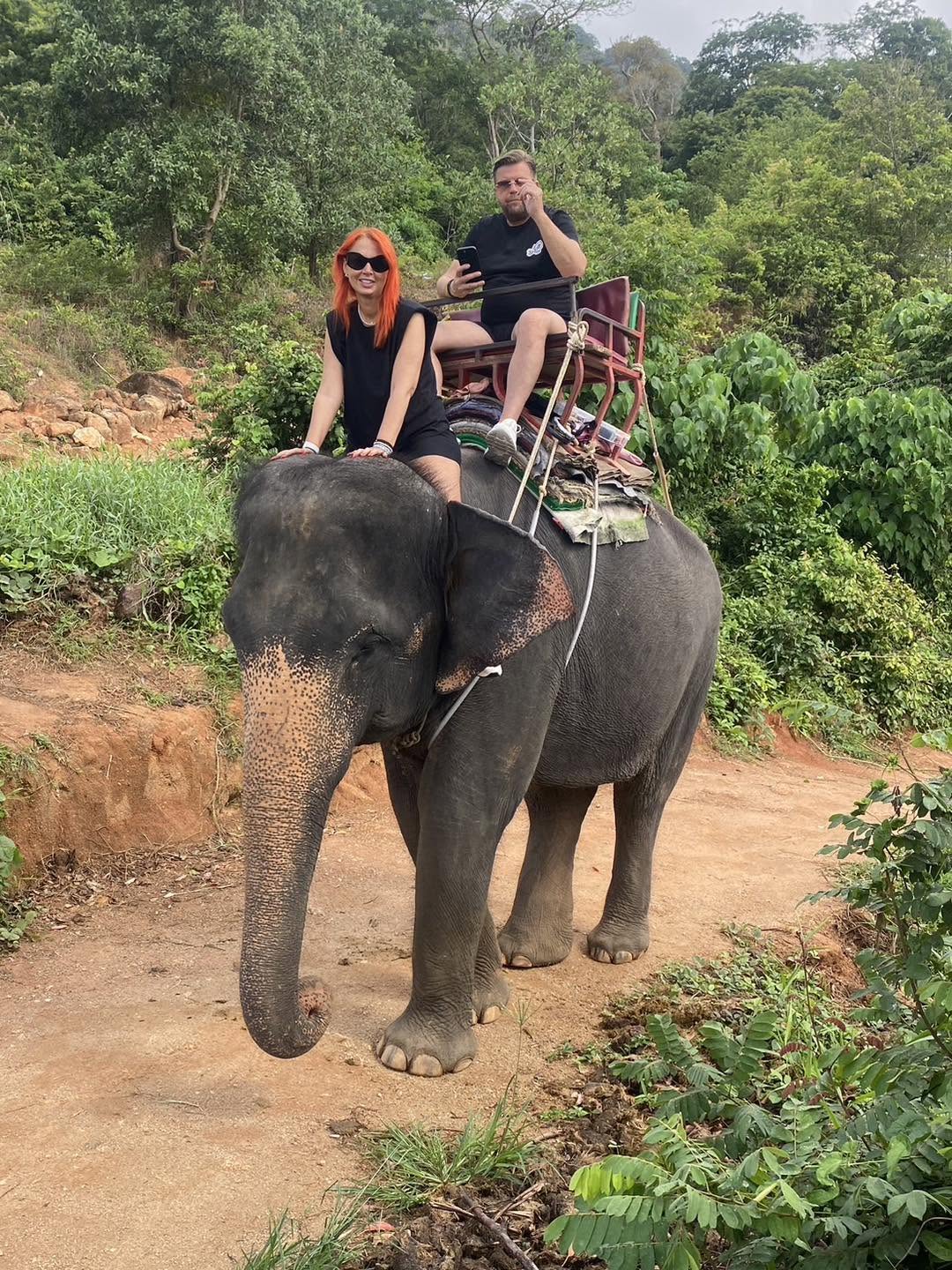 Elephant Trekking 30 mins. — image 2