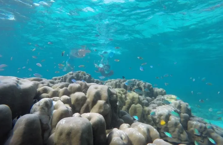 Surin Island (Speed Cantamaran) + Lunch + (National Park Fee) + SIC Transfer — image 13