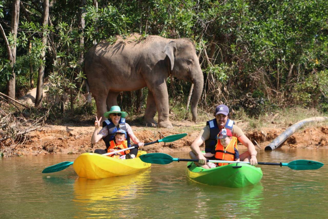 The Lake Phuket Elephant Home - Elephant Nature Walk & Explore Elephant by Kayak (Program C)  — image 6