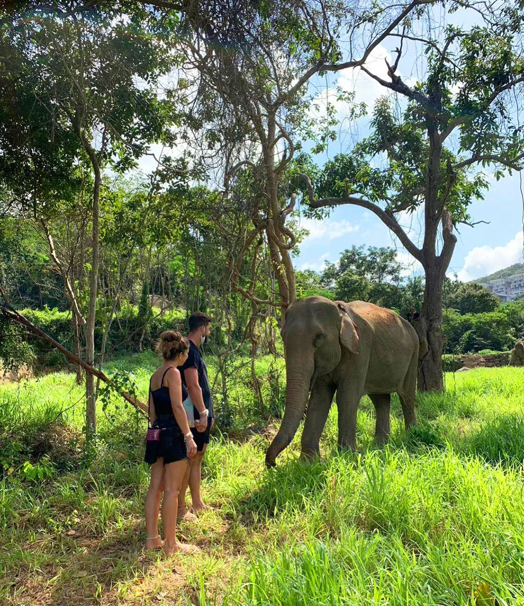 Samui Elephant Sanctuary + Transfer  — image 11