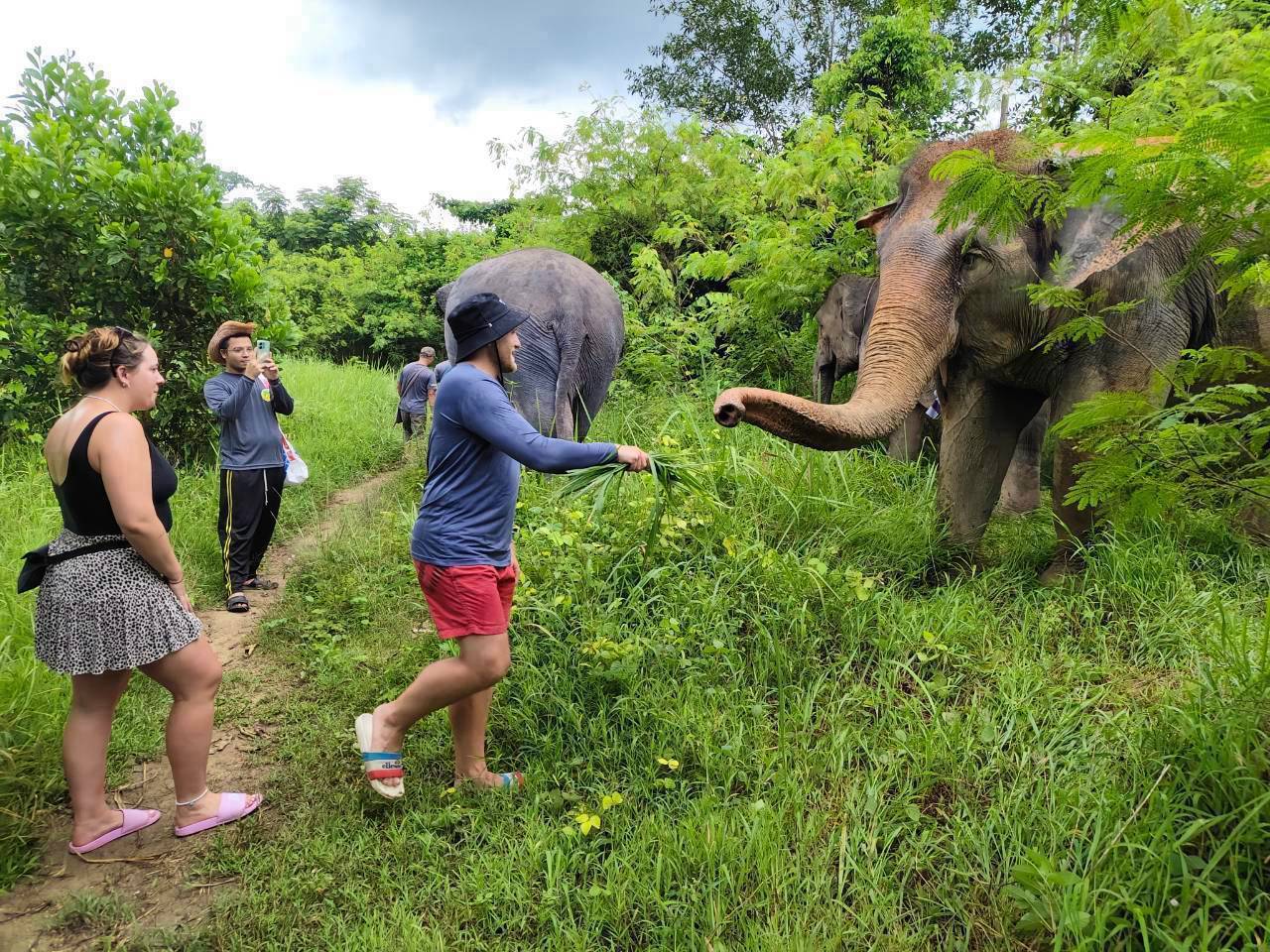 The Lake Phuket Elephant Home - Half-Day a Unique Experience (Program A) — image 8