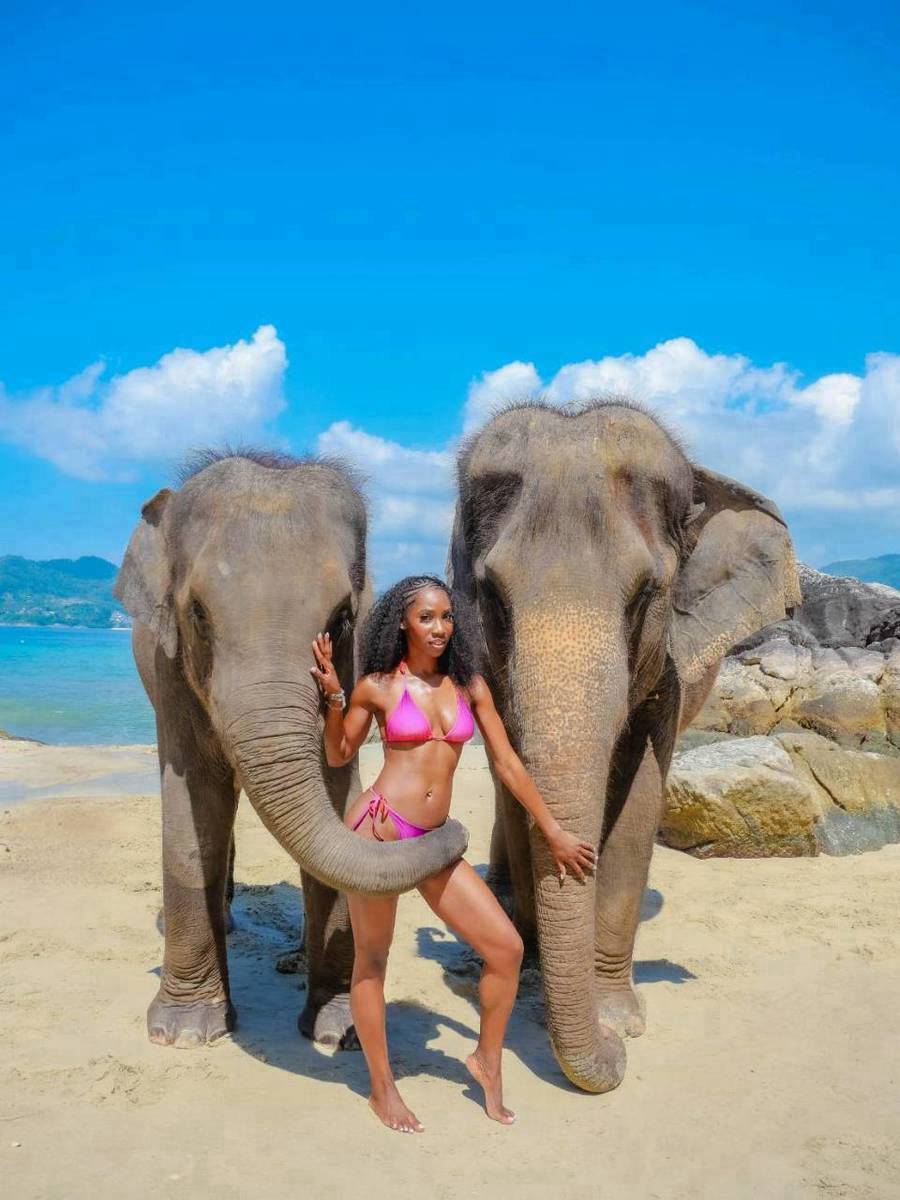 Take Photo & Ride Elephant on the Beach 15 minutes + SIC Transfer (Include Entrance Fee) — image 5
