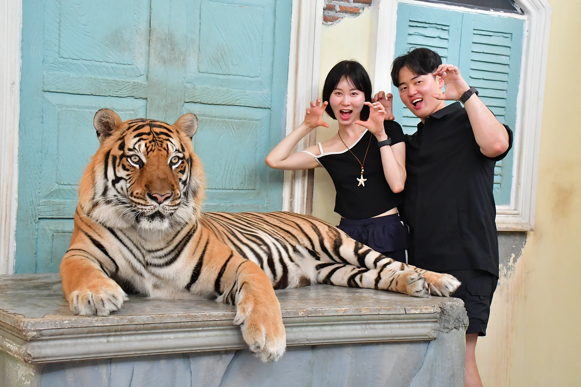 Giant Tiger (Ticket only) - No Transfer — image 1