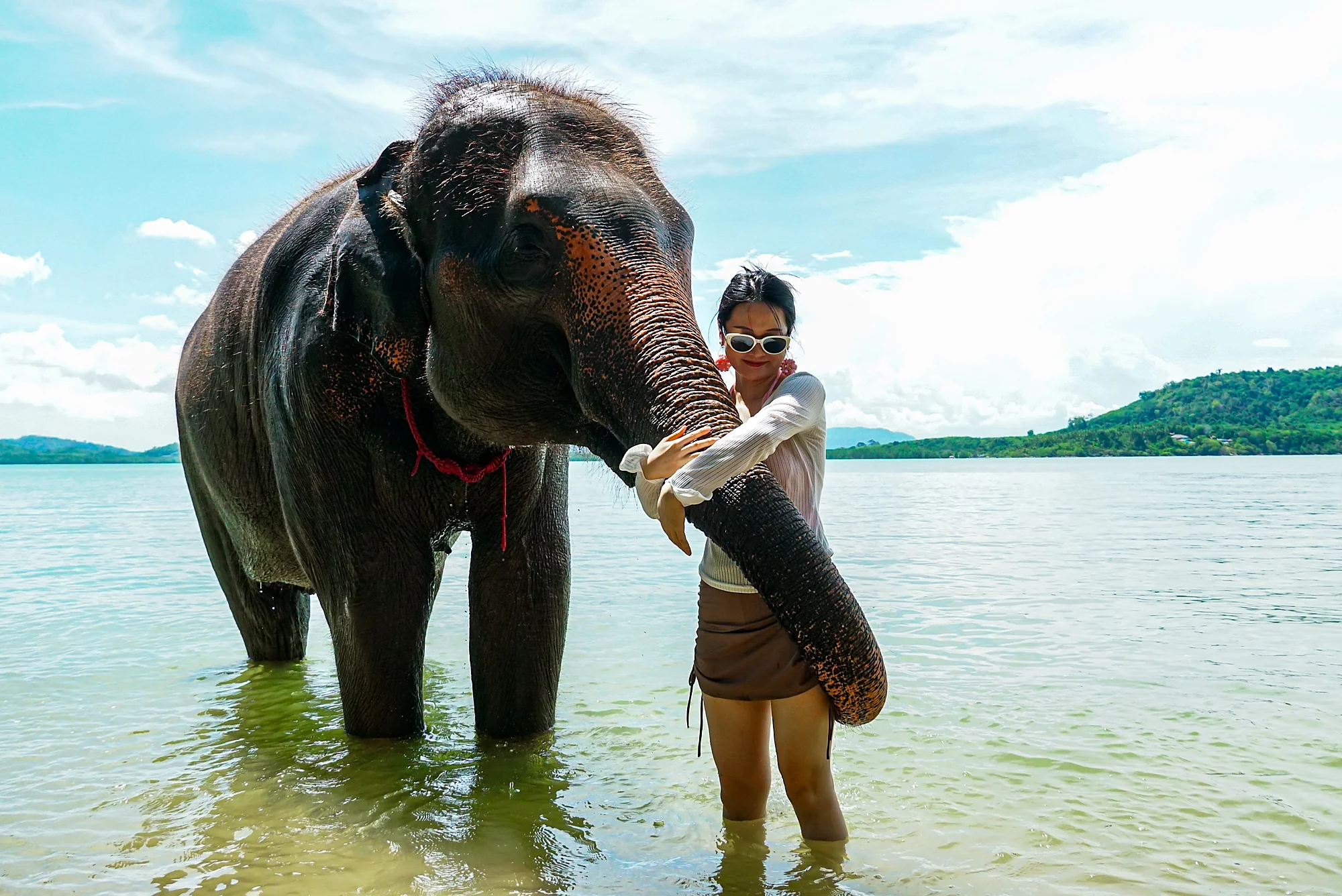 Elephant Feed & Bath on Private Beach at Siray + SIC Transfer (2.5 - 3 hours) — image 9