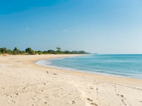 Mangrove & Local Life by Exclusive Long-tail Boat (Private Package 1-4 person) — image 1