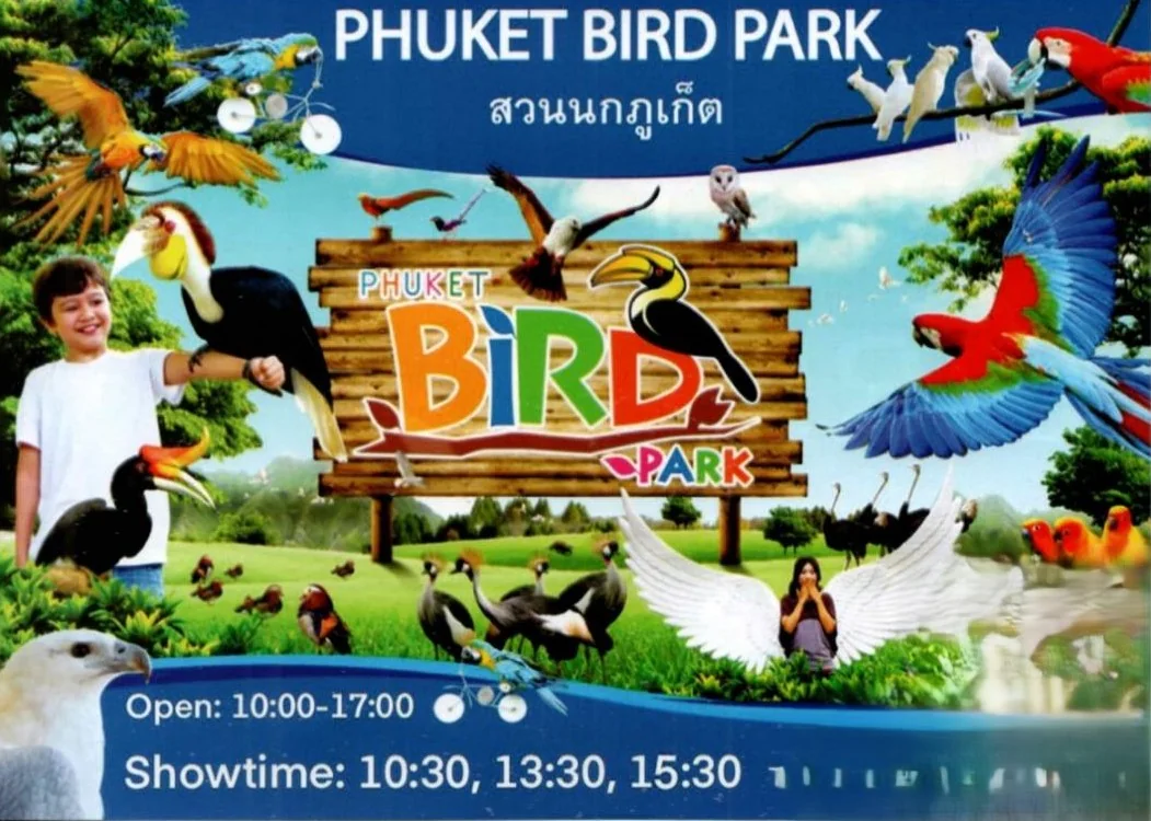 (Car) Round Trip Transfer to Phuket Bird Park — image 2