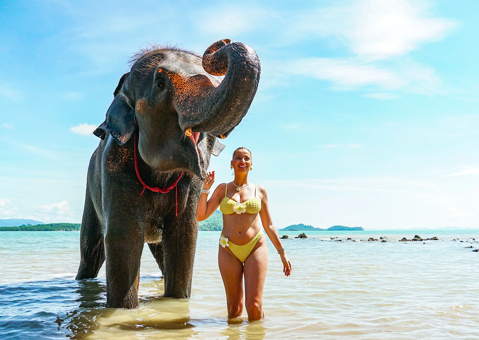 Feed & Bath at The Private Beach + SIC Transfer (2.5 - 3 hours) — image 8