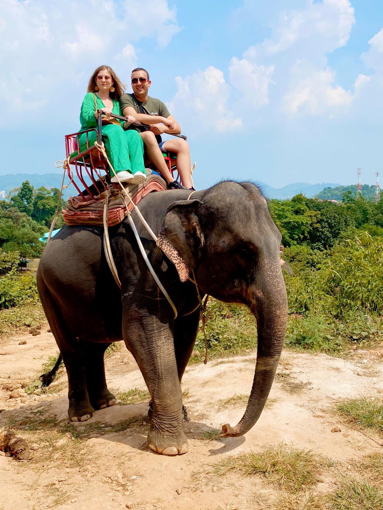 Elephant trekking through lush tropical scenery in Phuket