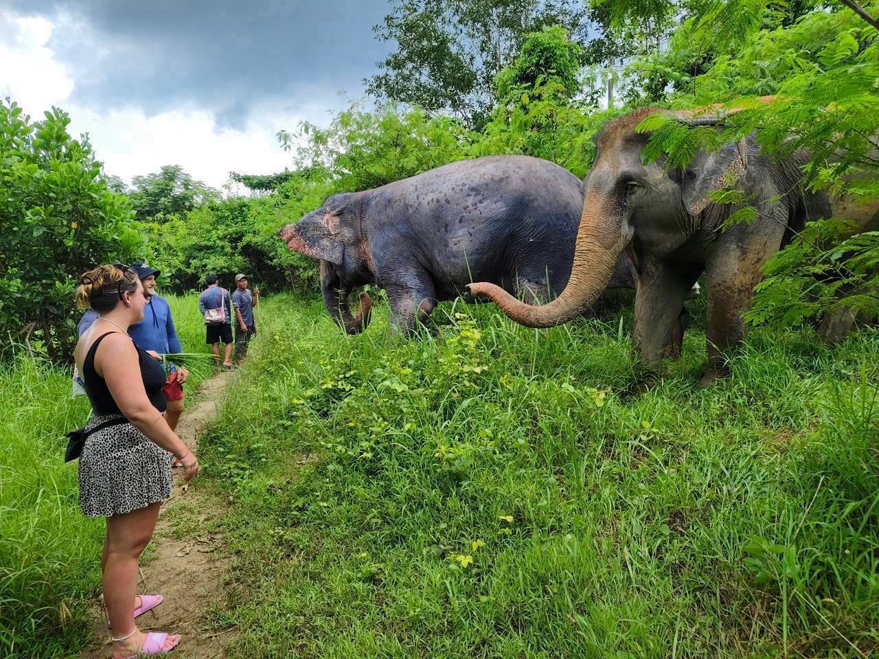 The Lake Phuket Elephant Home - FULLDAY Ethical Unforgettable Experience (Program B)  — image 8