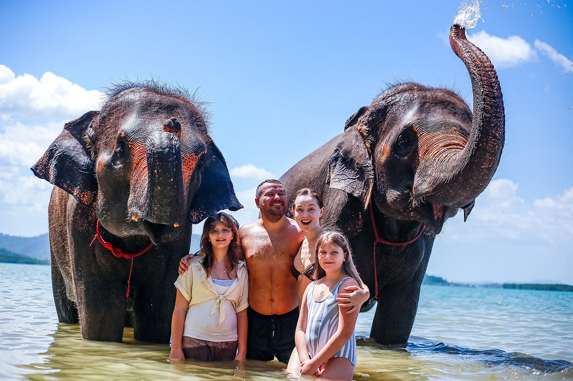 Feed & Bath at The Private Beach + SIC Transfer (2.5 - 3 hours) — image 6