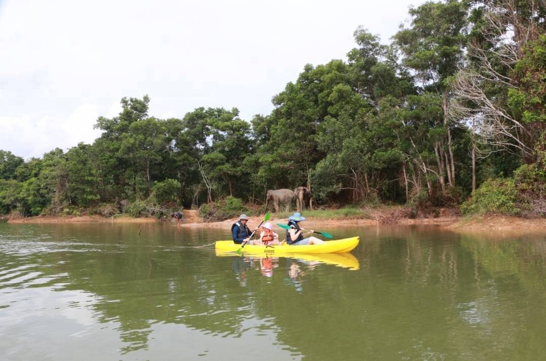 The Lake Phuket Elephant Home - Elephant Nature Walk & Explore Elephant by Kayak (Program C)  — image 3