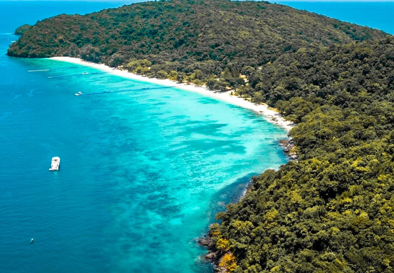 Coral Island + Racha Island (Speed Boat) + Lunch + SIC Transfer  / (Full Day) — image 7