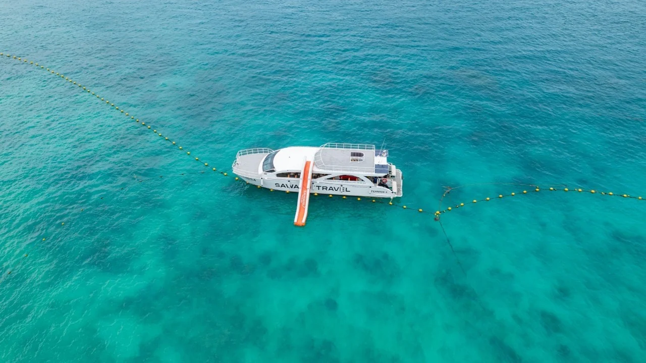 Phi Phi + Maya Bay + Khai Island (Speed Catamaran Sawanu) + Lunch + National Park Fee + (No Transfer) — image 15