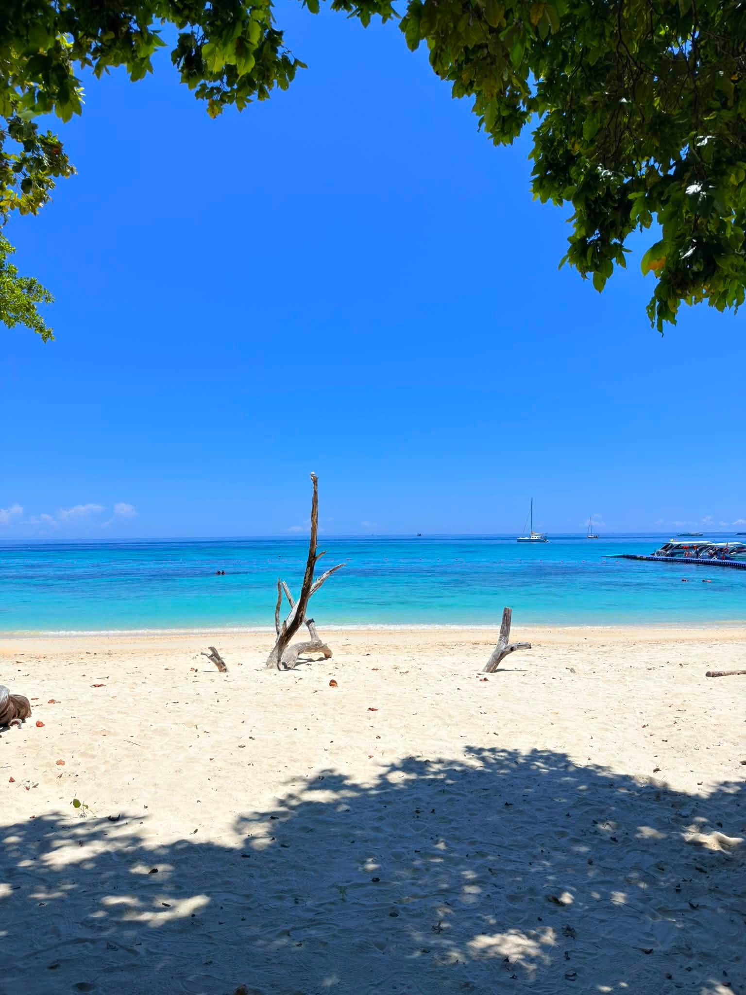 Koh Rok + Koh Ha Island Tour (By Speed Boat) + Lunch + SIC Transfer (Included National Park Fee)  — image 9