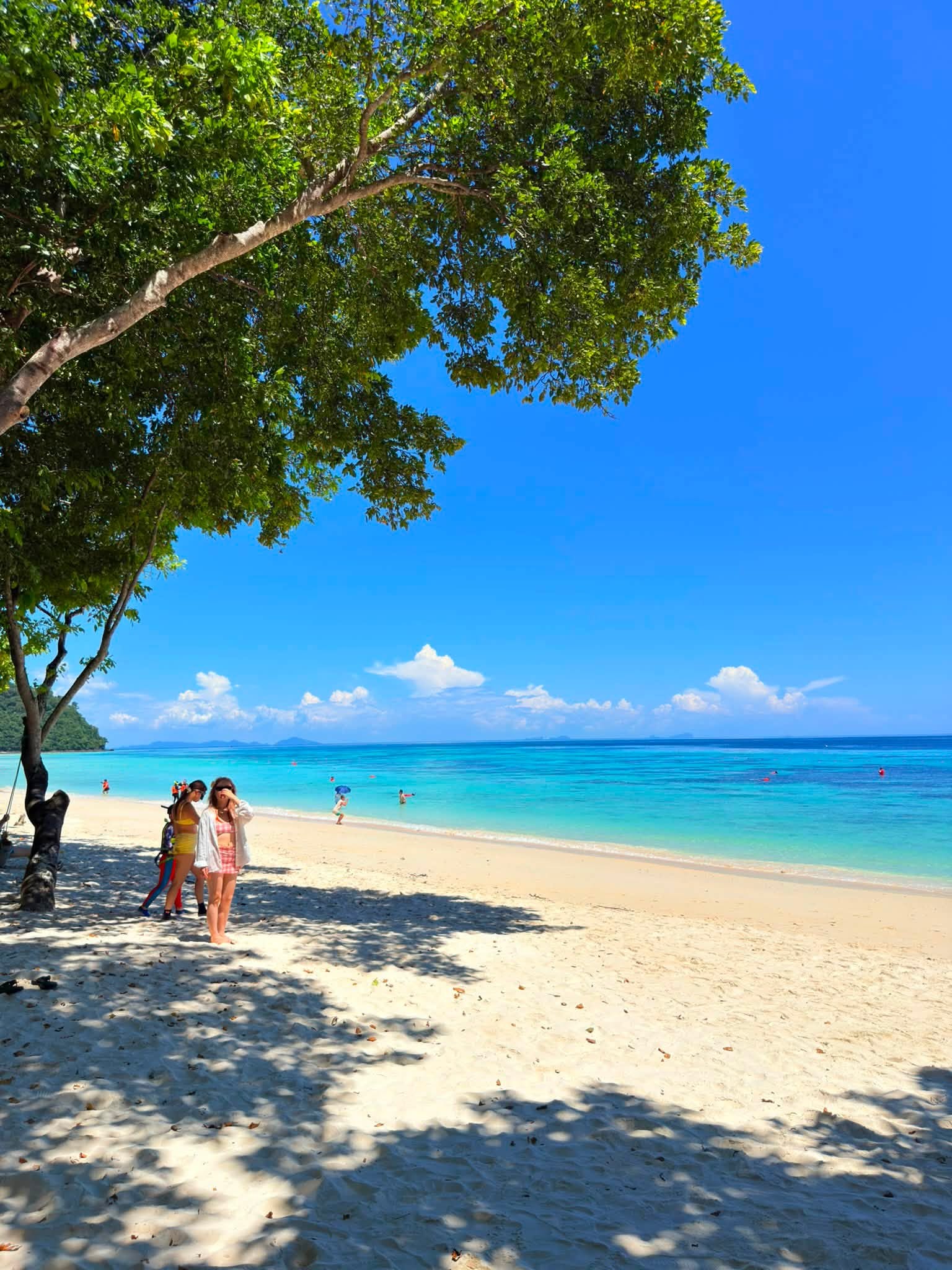 Koh Rok + Koh Ha Island Tour (By Speed Boat) + Lunch + SIC Transfer (Included National Park Fee)  — image 10
