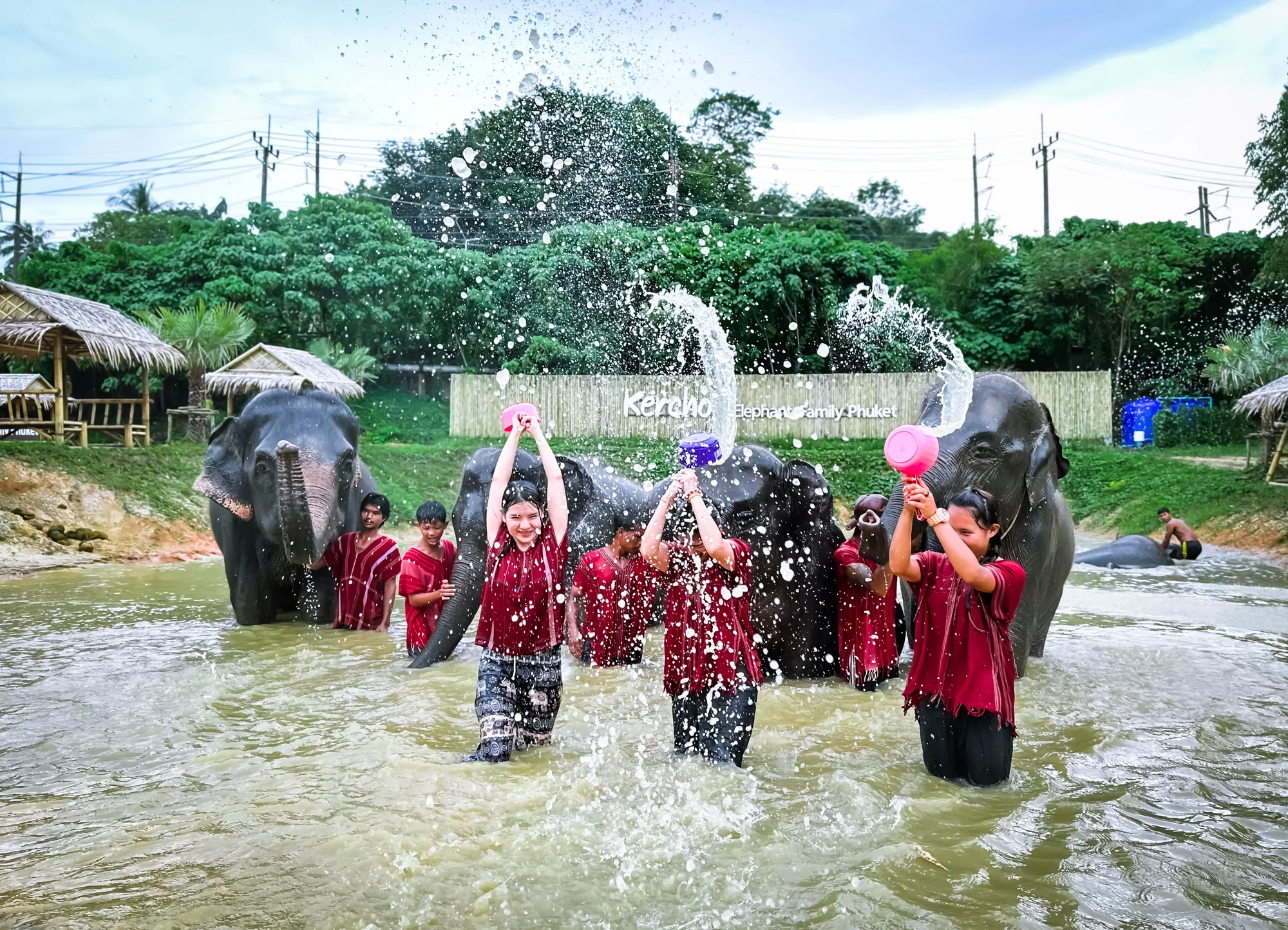 Tourists feeding and showering elephants at a Phuket elephant camp during a morning tour