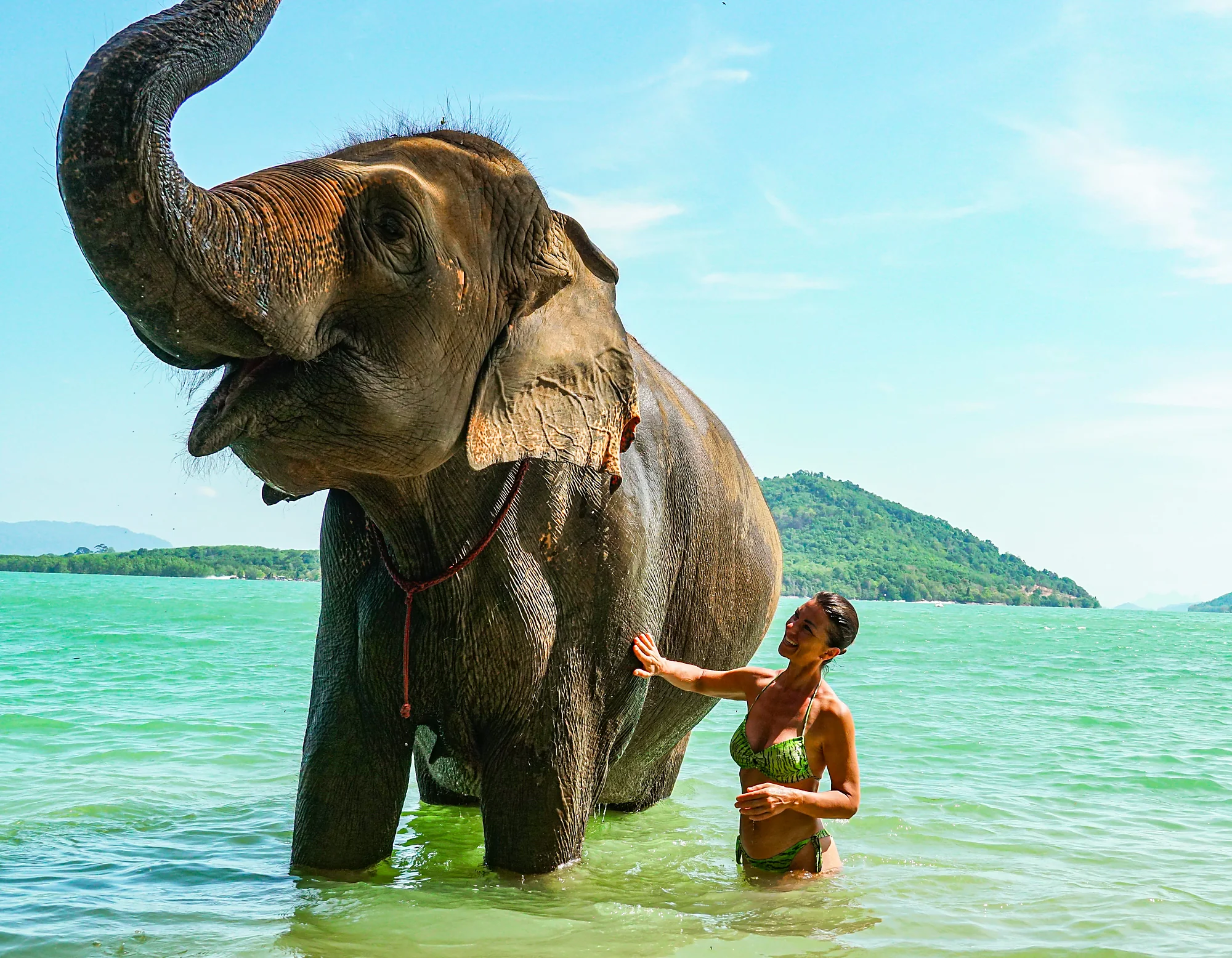 Elephant Feed & Bath on Private Beach at Siray + SIC Transfer (2.5 - 3 hours) — image 10