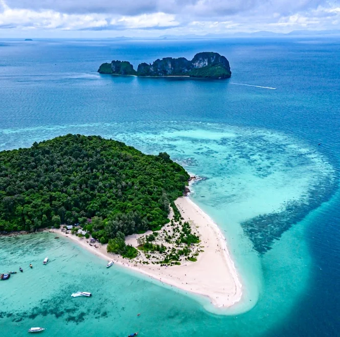 Phi Phi Island + Bamboo Island + Sunset Maiton by Speed Catamaran + Lunch + SIC Transfer & Longtail boat (Include Park Fee) — image 11