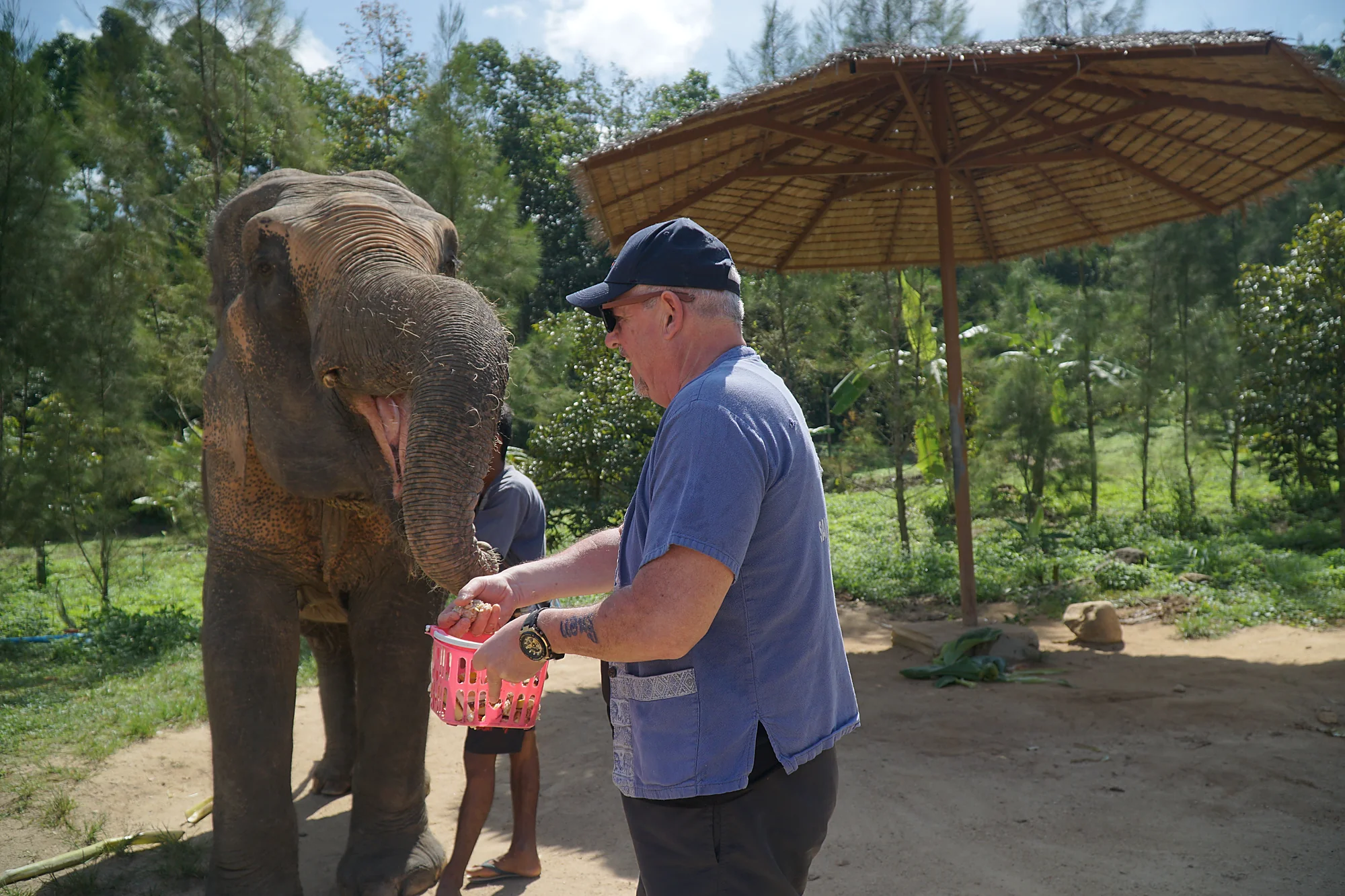 Samui Elephant Spa + Transfer  — image 14