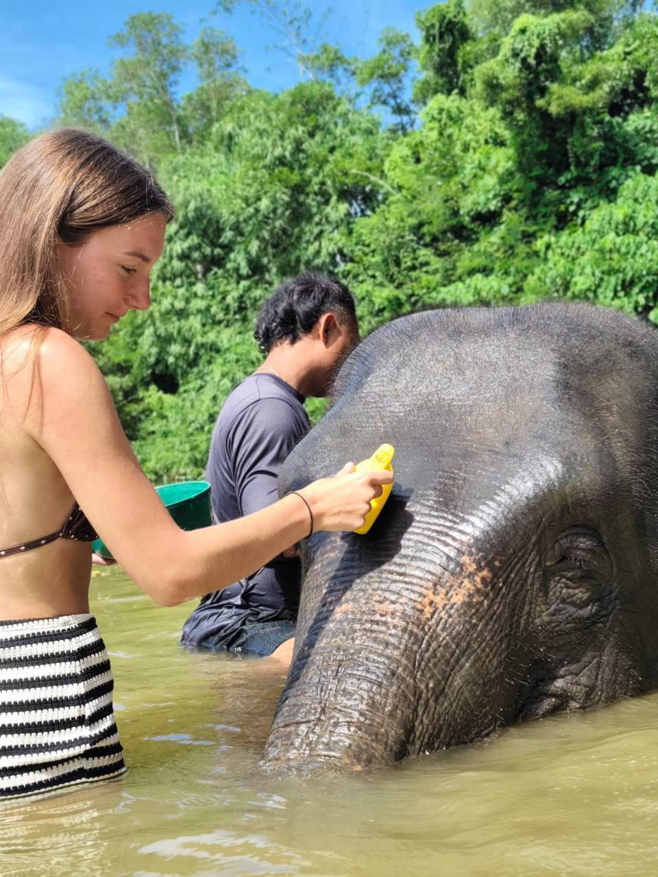 The Lake Phuket Elephant Home - FULLDAY Ethical Unforgettable Experience (Program B)  — image 1