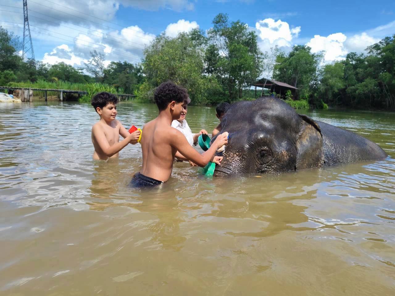 The Lake Phuket Elephant Home - Half-Day a Unique Experience (Program A)